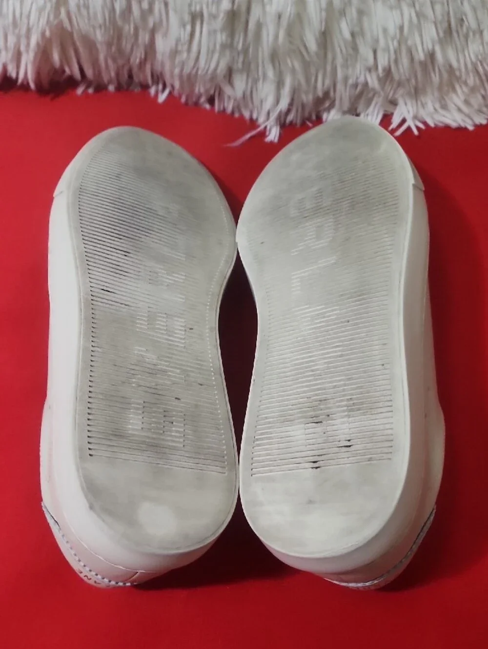 Everlane off white